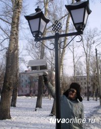 Кызыл: Пополняйте кормушки в Национальном парке и Молодежном сквере города 