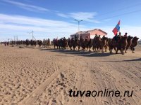 В Увс аймаке Монголии 9 марта пройдет Фестиваль верблюдов