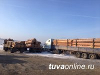 В Туве госавтоинспекторы выявили факты перевозки делового леса без соответствующих документов