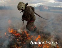 После малоснежной зимы в Туве ожидается высокая пожароопасность. Глава Тувы выступил против "палов" травы