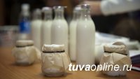 Предпринимателей Кызыла приглашают участвовать в создании "Молочной кухни"