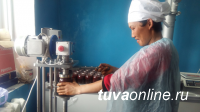 Цех в приграничном Эрзинском кожууне (Тува) производит около 100 банок облепихового варенья в день