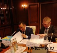 В правительстве России началась подготовка к совещанию по плану социально-экономического развития Тувы