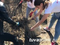Туран: "Добрые сердца Тувы" убрали от мусора территорию парка, прилегающую к памятнику Красным партизанам