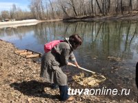 Семейные команды школ № 2 и 7 города Кызыла помогли "экорыбалкой" очистить протоку в Национальном парке