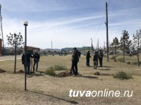 ТываСвязьИнформ: связисты Самагалтая участвовали в озеленении будущей Аллеи Матерей