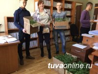 В Кызыле началась выдача семенного картофеля 563 социально-незащищенным семьям