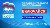 На сайте pg.er.ru (предварительное голосование 26 мая) появилась функция «Найти свой участок»