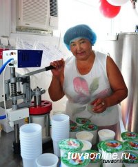 В малом бизнесе Тувы и индивидуальном предпринимательстве занято более 20 тысяч человек