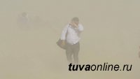 Штормовое предупреждение: в Туве ожидается сильный ветер. Будьте осторожны