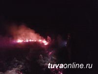 В Туве лесники, спасатели, военнослужащие смогли защитить три села от лесных и степных пожаров, усиленных шквалистым ветром