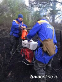 В Туве лесники, спасатели, военнослужащие смогли защитить три села от лесных и степных пожаров, усиленных шквалистым ветром