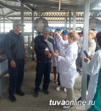 Козел-производитель № 4765, ремонтный козел и козоматка из Тувы стали победителями Сибирско-Дальневосточной выставки