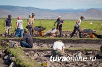 Без срока давности: ученые нашли в Туве свидетельства преступления, совершённого 2 тысячи лет назад