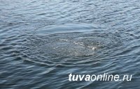 Тува: В с. Теве-Хая во время купания утонула малолетняя девочка
