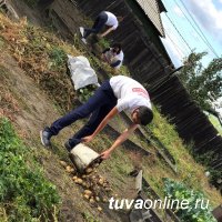 "Добрые сердца Тувы" помогли вдове фронтовика выкопать картошку