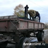 В Туве начался завоз бесплатного угля многодетным семьям