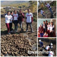 "Добрые Сердца Тувы" помогли пенсионерке в Чеди-Хольском кожууне вскопать картошку