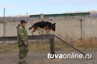 Юные друзья полиции из Тоджинского района посетили с экскурсией  подразделения МВД по Республике Тыва