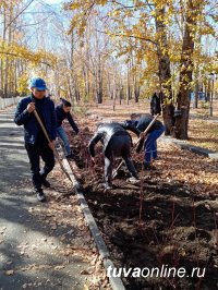 В Кызыле прибавилось 205 деревьев и 240 кустарников