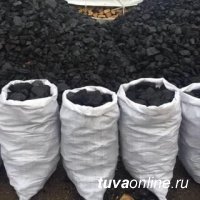 Мэрия Кызыла составила конкуренцию перекупщикам угля