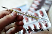 В Туве отмечен незначительный рост заболеваемости ОРВИ