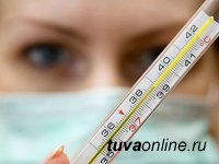 В Туве обнаружены первые два случая подозрения на заражение  гриппом В