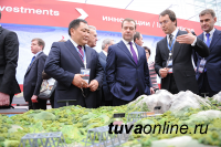 Железную дорогу в Туву до августа 2021 года спроектирует «Стройпроект»