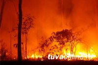 Тува в числе регионов, где в этом году лесные пожары будут ранними