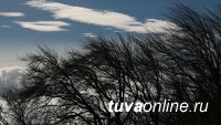 В Туве 11 марта обещают усиление ветра до 17 метров в секунду