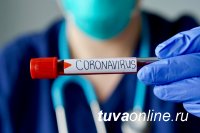 Тува: В Тодже выявили еще одного заразившегося COVID-19