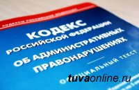 В Туве на поджигателей сухой травы составлено 20 протоколов.