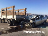 В Туве из-за скота на дороге водитель въехал в грузовик и разбился насмерть