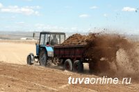Фермер из Кызыла выделил многодетным семьям два гектара земли под посадку картофеля
