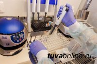 В Туве запустили ещё одну лабораторию для исследования COVID-19