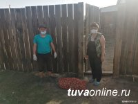 Власти Тувы помогли обеспечить семенным фондом более 3000 семей для посадки овощных культур и картофеля