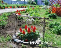 Прием заявок на городской конкурс "Цветущий Кызыл" завершается 1 августа 2020 года