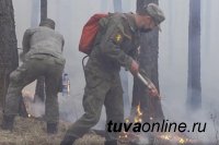 Тува получит почти 90 млн рублей на борьбу с лесными пожарами