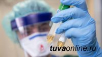 В Туве на 6 сентября выявили 27 больных COVID-19, 18 — поправились