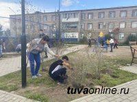 КЫЗЫЛ. Ко Дню рождения города горожане посадят 1000 деревьев
