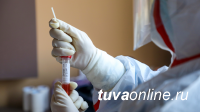 В Туве на 14 сентября выявили 31 больного с COVID-19