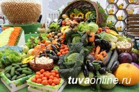 Сегодня в столице Тувы проведут ярмарку «Золотая осень» и отметят праздник Борща