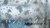 В Туве сегодня местами дождь со снегом