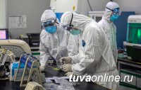 В Туве на 12 октября выявили 47 инфицированных COVID-19