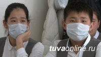 Учителя вышли на первое место по заболеваемости COVID-19 в Туве