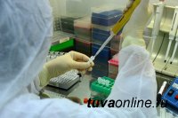 В Туве на 18 октября госпитализировали 75 больных с COVID-19