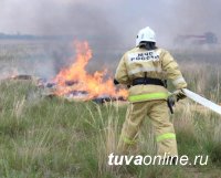 В Туве за неделею пожарные 17 раз тушили палы сухой травы
