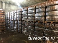 Полицейские Тувы выявили 100 тонн нелегальной алкогольной продукции