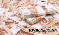 В Туве в I полугодии 2020 года МФО подняли поддержку бизнеса на 33% 