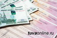 Жительницу Тувы лже-фирма «развела» на 22800 рублей